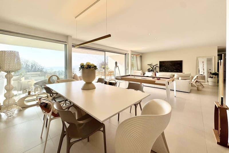Appartement dexception avec terrasse panoramique et vue sur le lac (1)