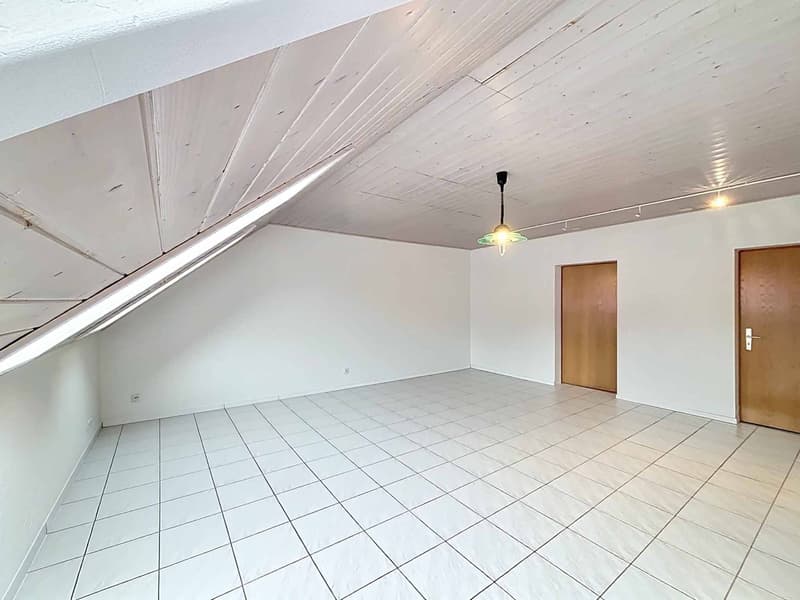 Spacieux appartement de 5 pièces au cur de La Chaux-de-Fonds (1)