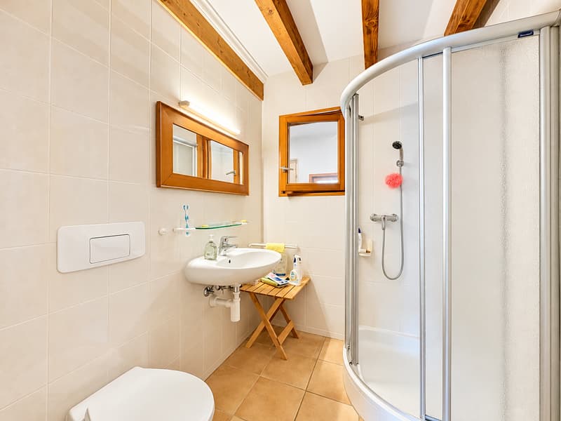 Maison aux multiples possibilités dans un cadre verdoyant (11)