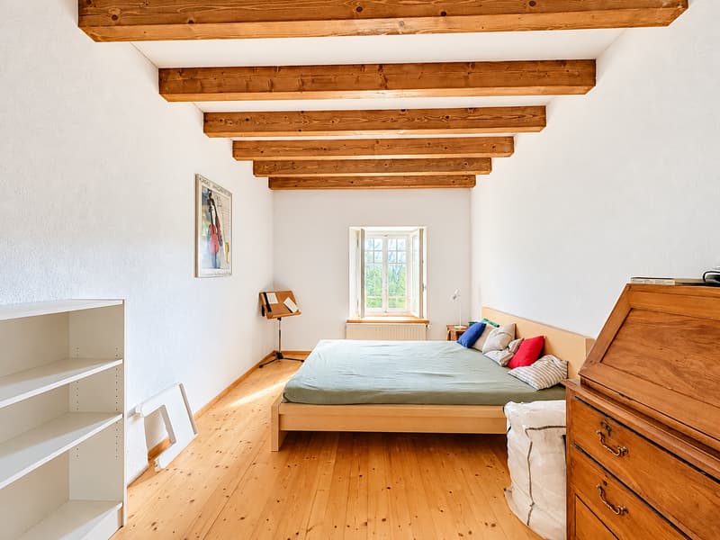 Maison aux multiples possibilités dans un cadre verdoyant (10)
