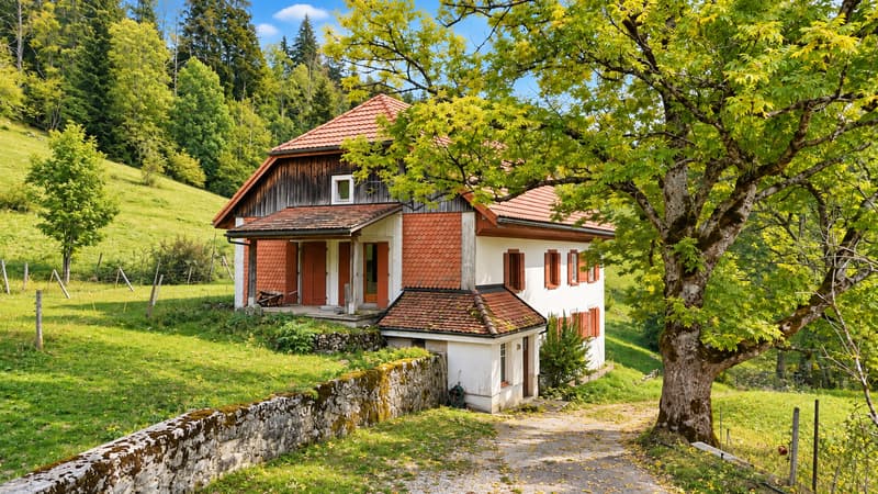 Maison aux multiples possibilités dans un cadre verdoyant (1)