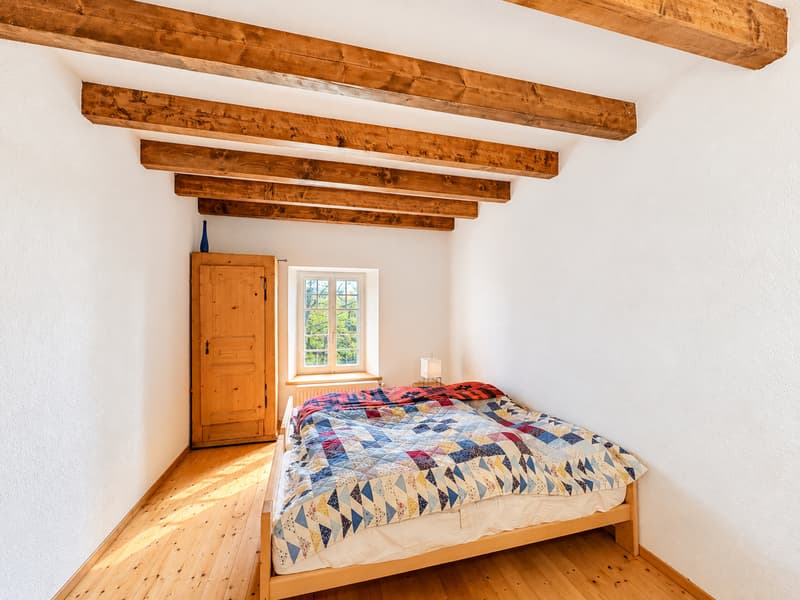 Maison aux multiples possibilités dans un cadre verdoyant (9)