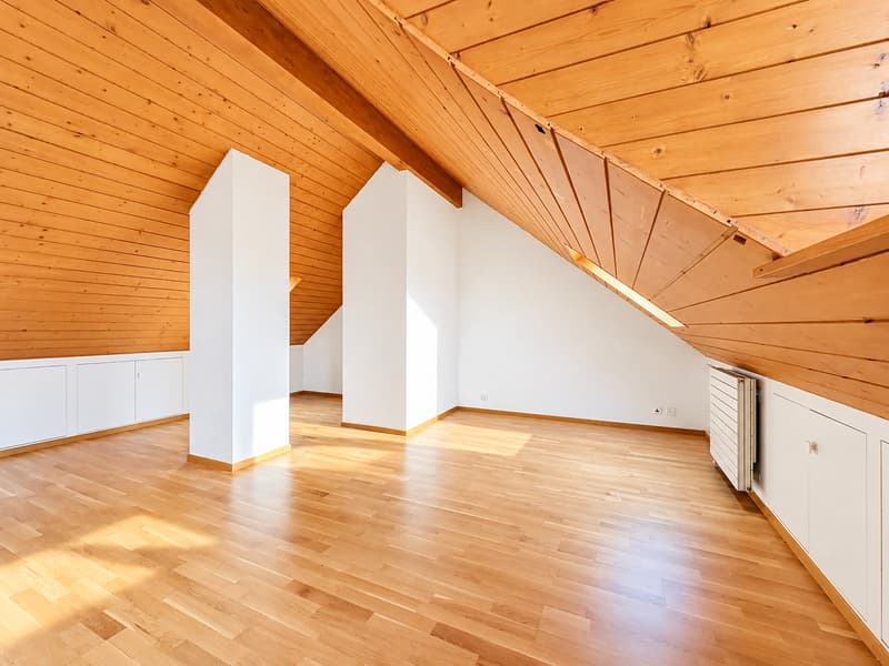 Duplex de caractère au charme authentique et au beau potentiel (8)