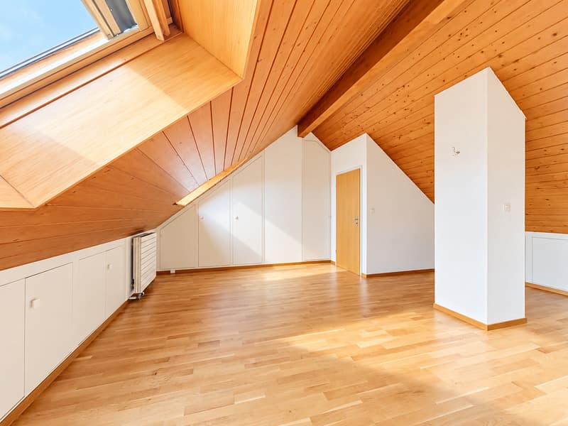 Duplex de caractère au charme authentique et au beau potentiel (9)