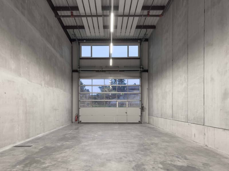 Modern Ground-Floor Industrial Spaces in Vernier (3)