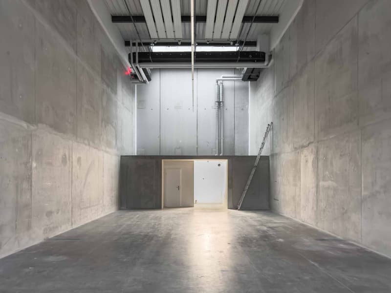 Modern Ground-Floor Industrial Spaces in Vernier (6)
