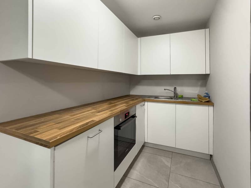 Magnificent artisanal area of 505m2 on one level (6)