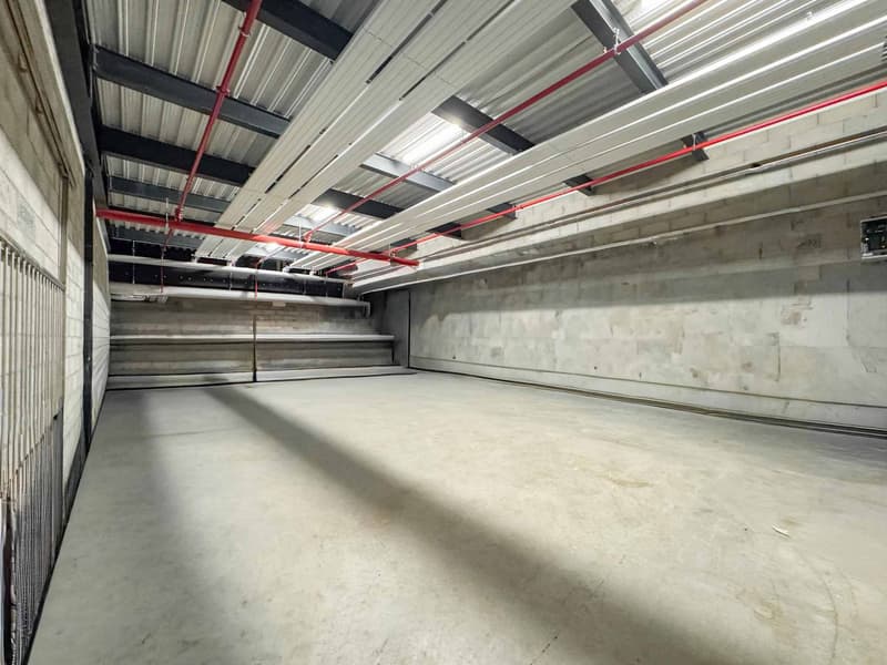Magnificent artisanal area of 505m2 on one level (4)