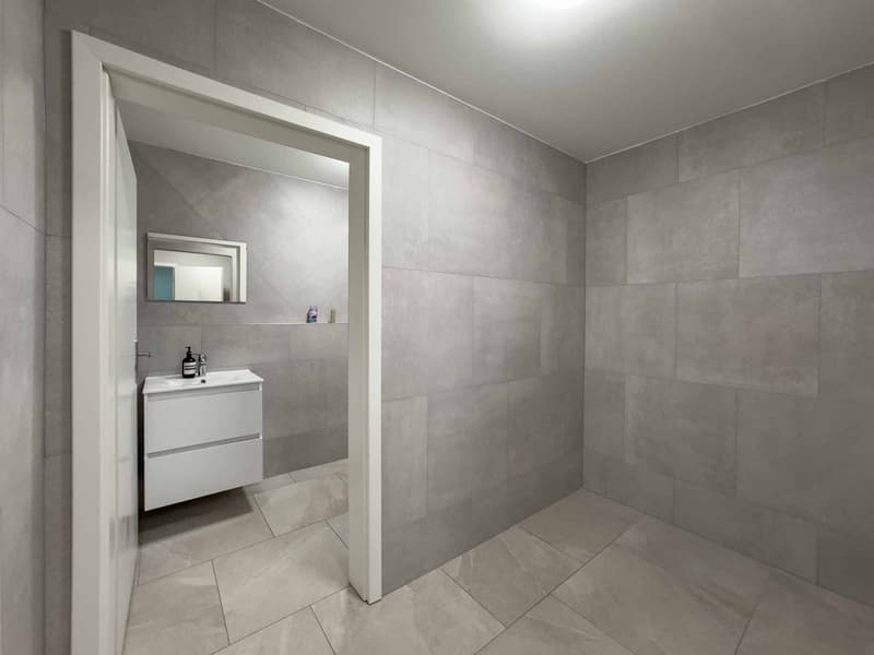 Magnificent artisanal area of 505m2 on one level (7)