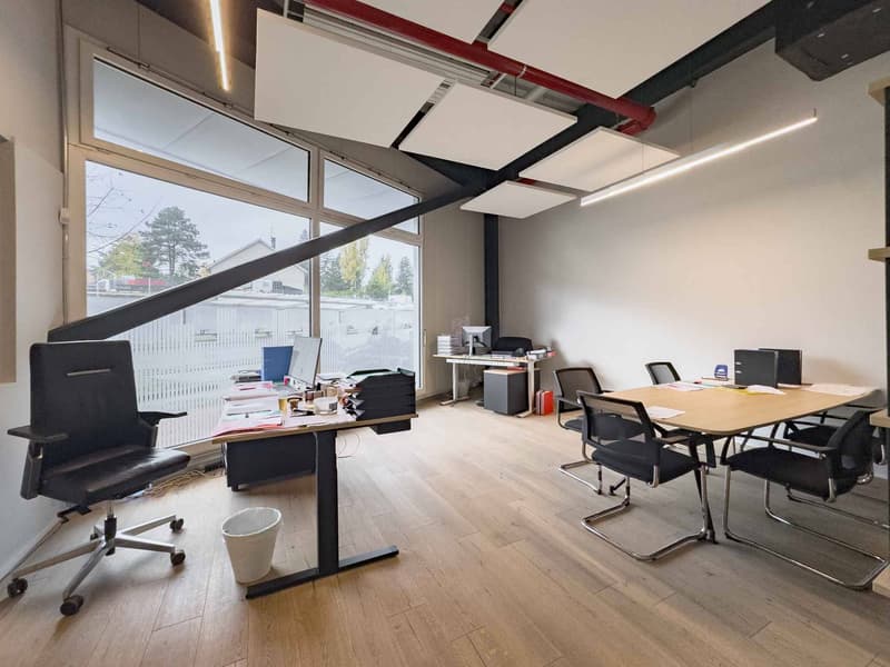 Magnificent artisanal area of 505m2 on one level (5)