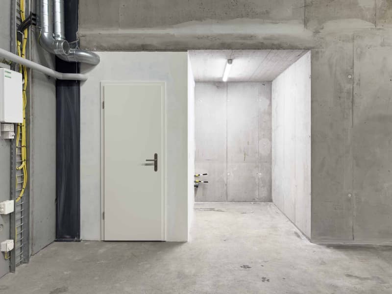 Modern Industrial Spaces in Vernier (5)