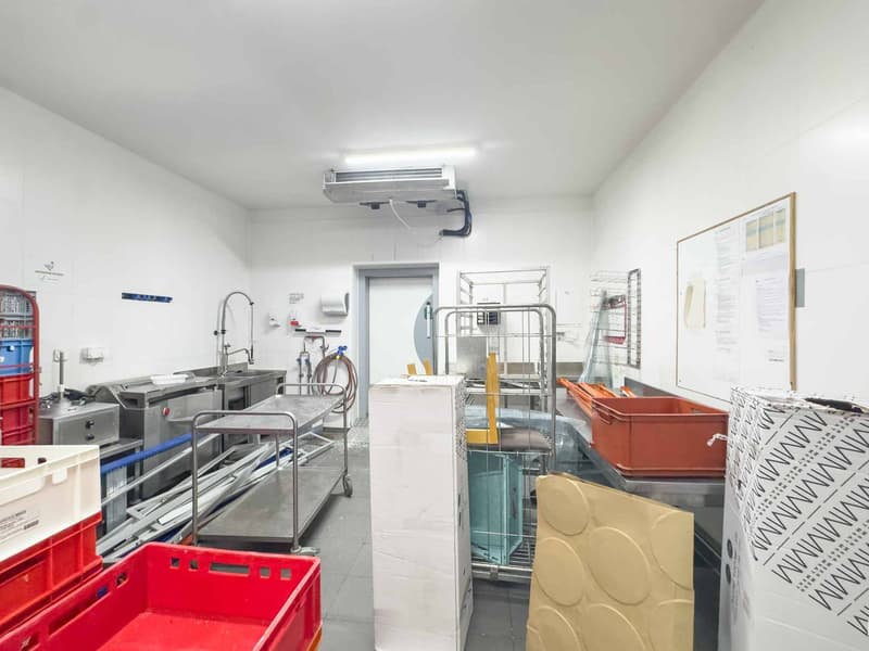 Atelier / logistique avec grande hauteur et mezzanine Meyrin (9)