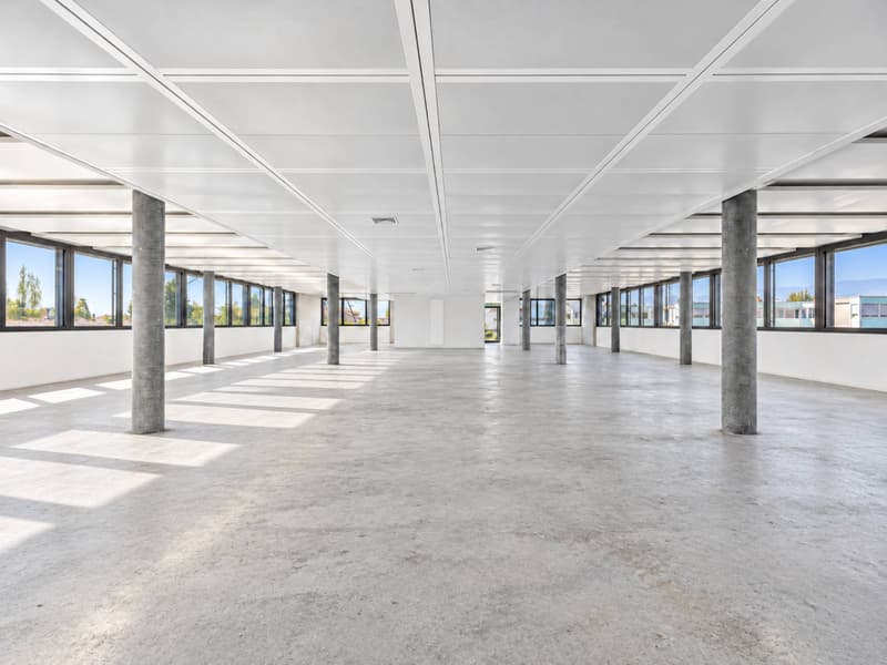 ARCenter 492 m² de bureaux semi-aménagés à Vernier (3)