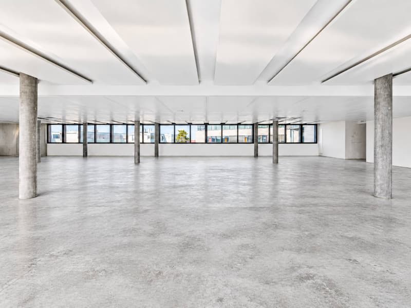 ARCenter 492 m² de bureaux semi-aménagés à Vernier (4)