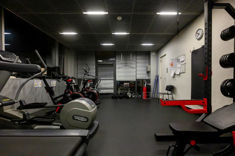 À vendre : Immeuble de bureaux Investisseur ou utilisateur Vésenaz (4)