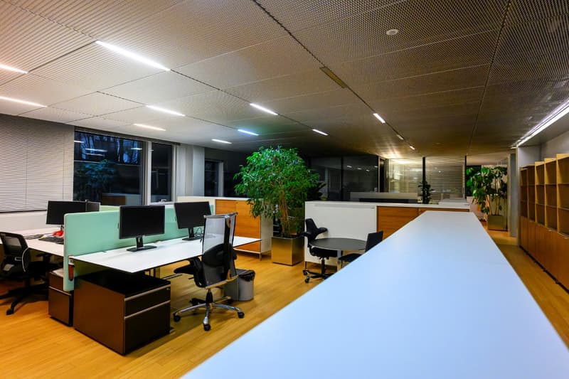 À vendre : Immeuble de bureaux Investisseur ou utilisateur Vésenaz (7)