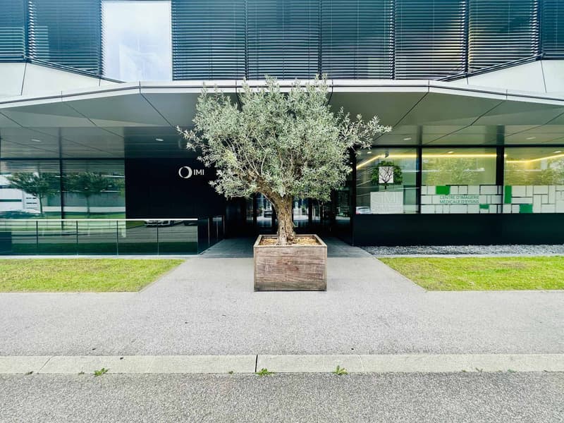 EXCLUSIF Bureaux Plug & Play de haut standing (1)