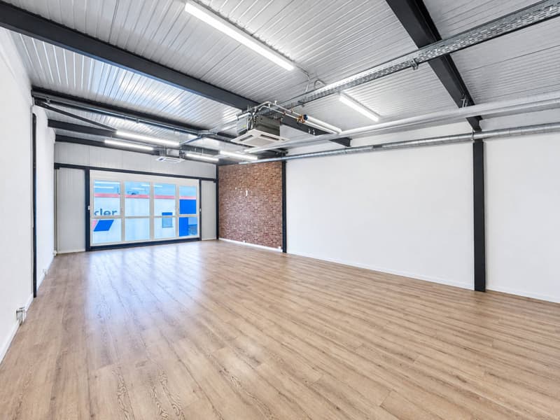 INDUSTRIE - SHOWROOM - PLAIN PIED (3)