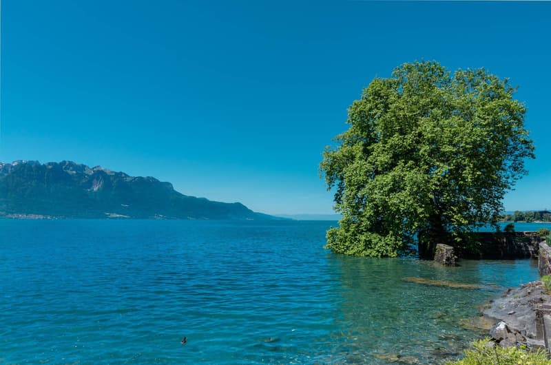 Somptueuse propriété pieds dans l'eau ! (11)