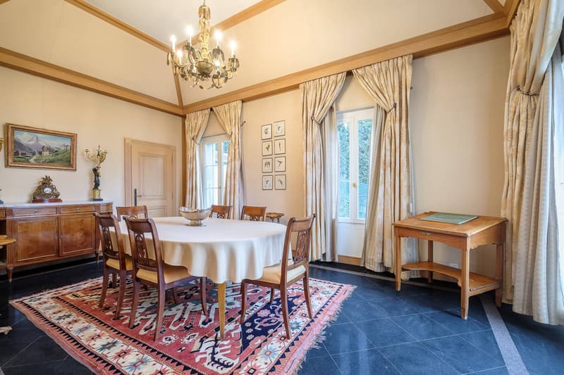 Spacious master house divided into 2 apartments with lake view (7)