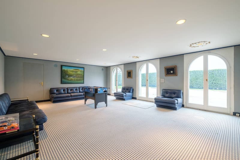 Spacious master house divided into 2 apartments with lake view (12)