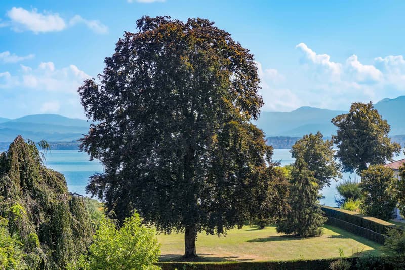Exceptional property just two steps from Lake Geneva (12)