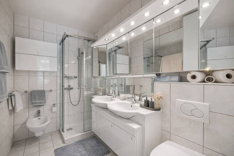 Character apartment on the Quai des Fleurs (7)