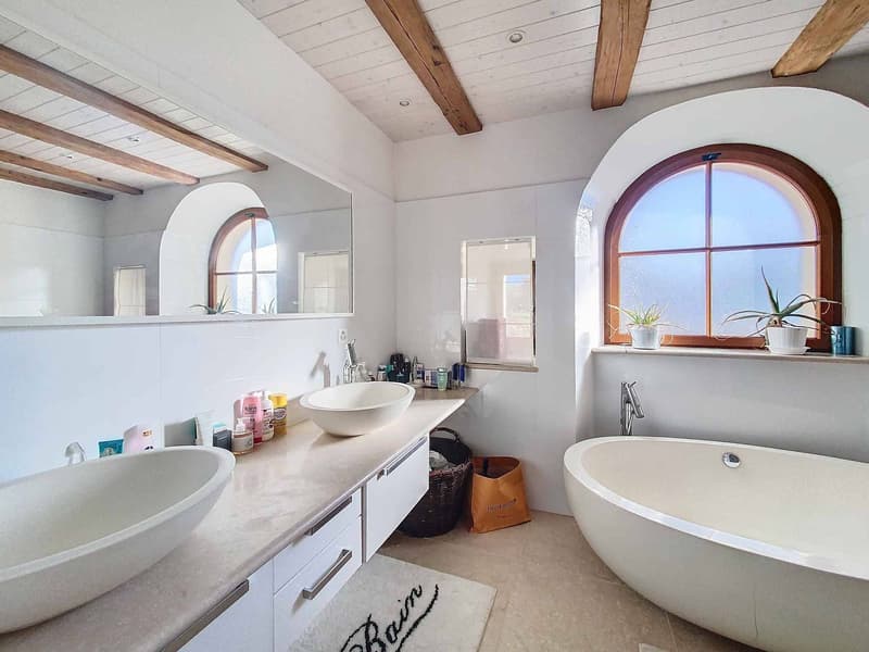 Magnificent property in the heart of nature (9)