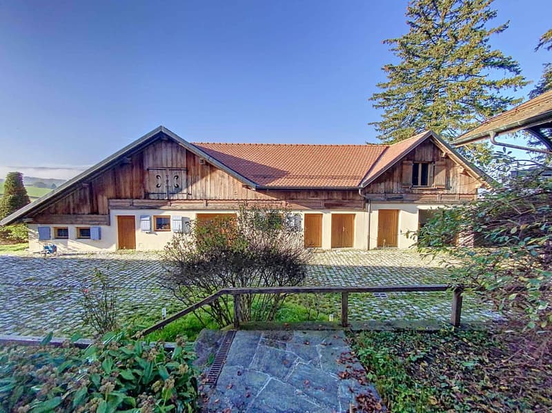 Magnificent property in the heart of nature (11)