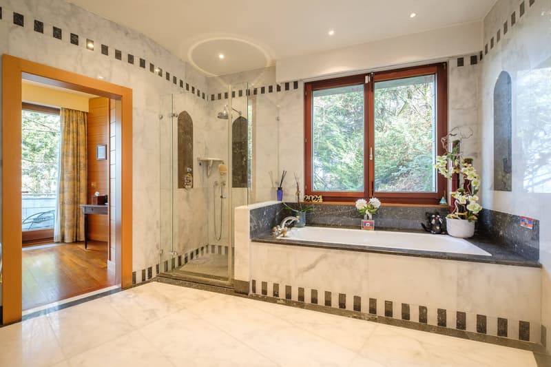 Magnifique appartement avec terrasse surplombant le lac (4)