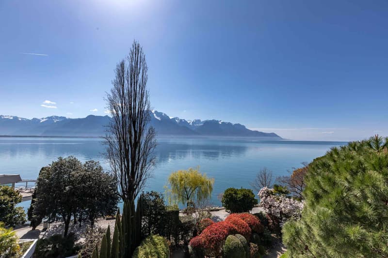 Perle architecturale au bord du lac (3)
