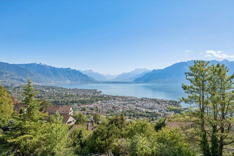 Propriété de maître avec vue panoramique sur le lac (2)