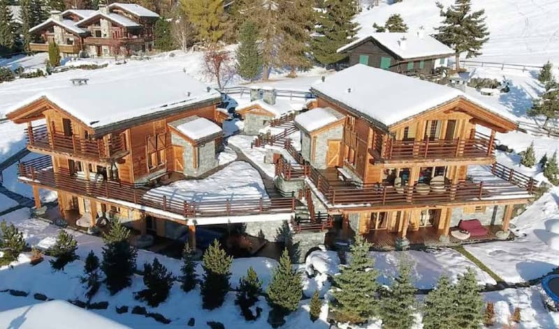 Chalet d'Exception  Ski In / Ski Out sur la Piste du Rouge (8)