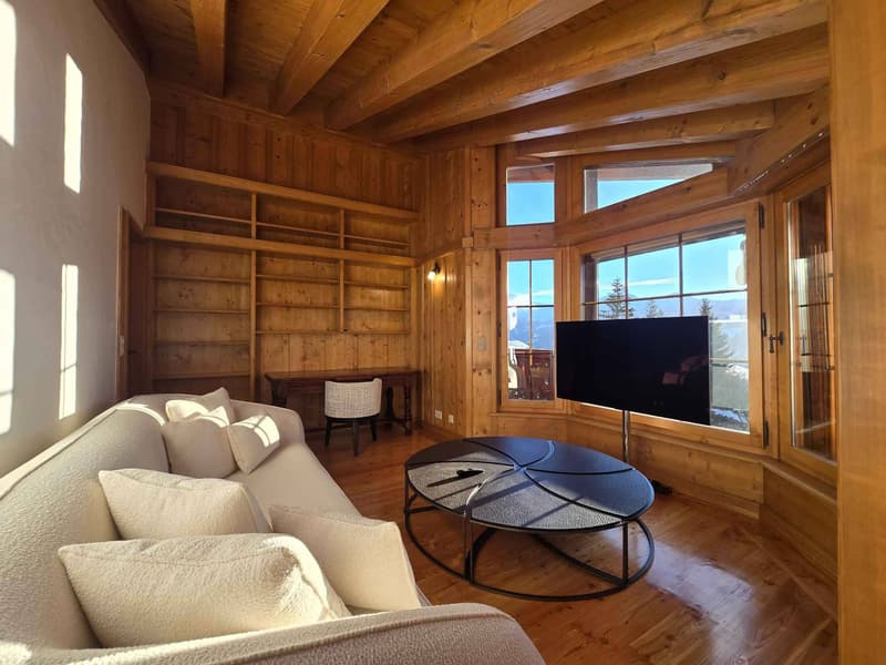 EXCEPTIONAL PENTHOUSE (5)