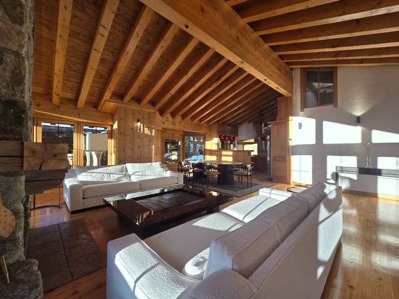 EXCEPTIONAL PENTHOUSE (4)