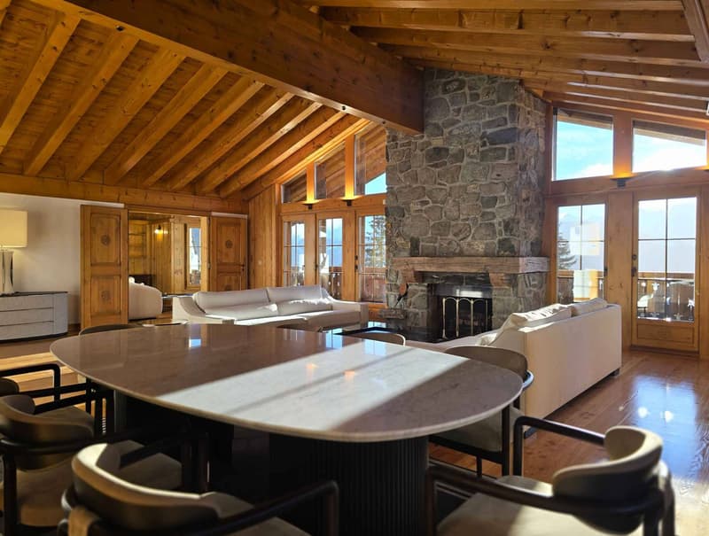 EXCEPTIONAL PENTHOUSE (2)