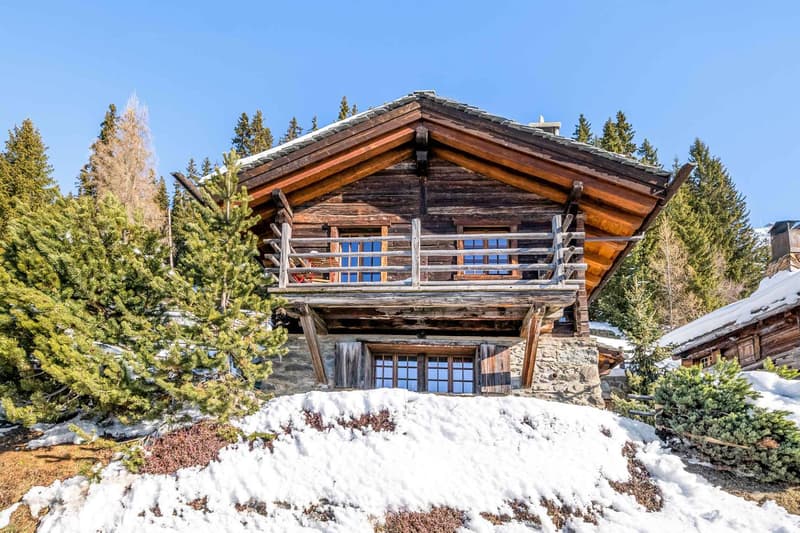 Charming ski-in / ski-out chalet (1)
