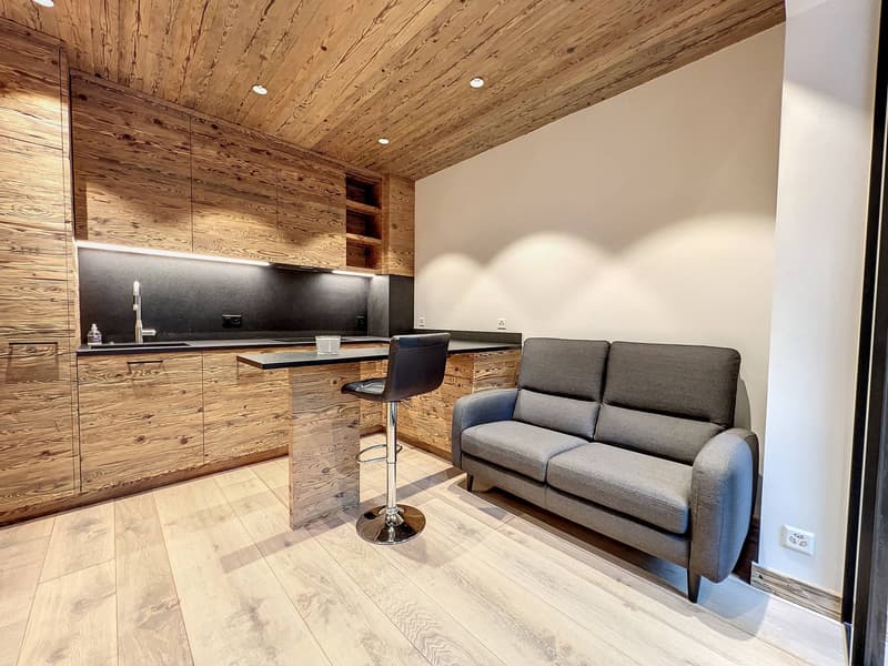 Superbe studio ski-in/ski-out entièrement rénové ! (4)
