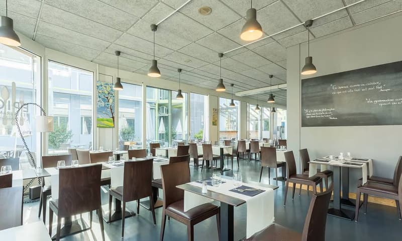 Superficie in zona FTI di ca. 2200m2 DIVISIBILE a Plan-les-Ouates (6)
