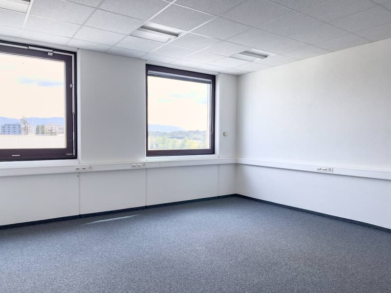 Uffici, locali amministrativi di 381m2 in affitto a Satigny (2)