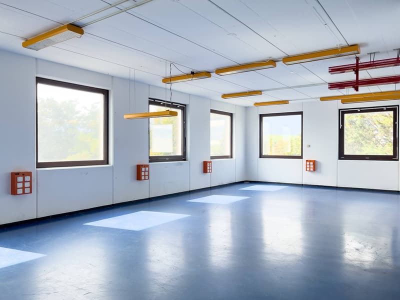 Laboratorio, produzione, atelier di 420 m2 in affitto a Satigny (7)