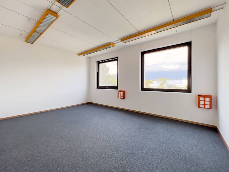 Laboratorio, produzione, atelier di 420 m2 in affitto a Satigny (4)