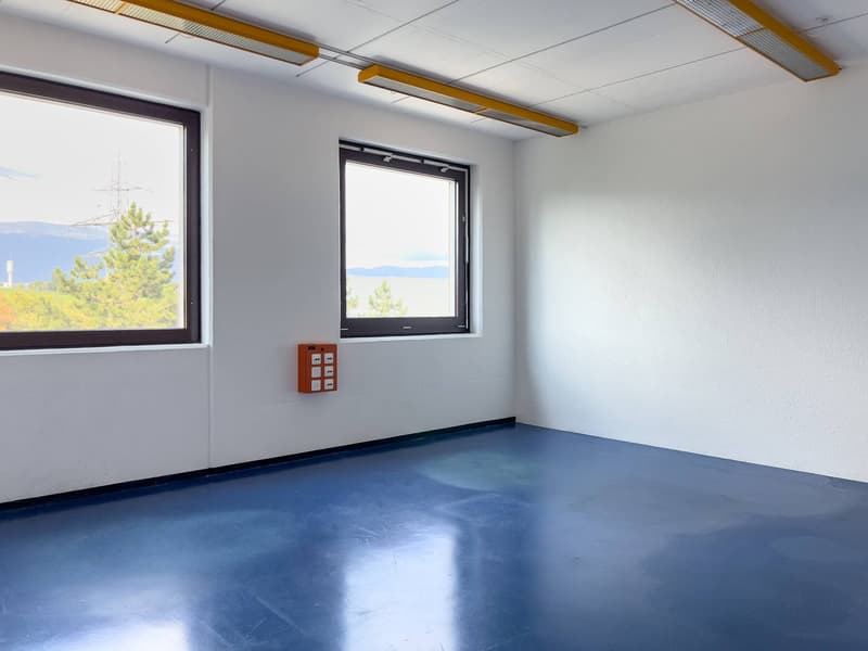 Laboratorio, produzione, atelier di 420 m2 in affitto a Satigny (3)