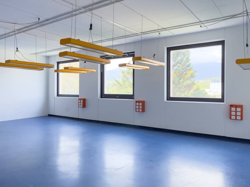 Laboratorio, produzione, atelier di 420 m2 in affitto a Satigny (5)