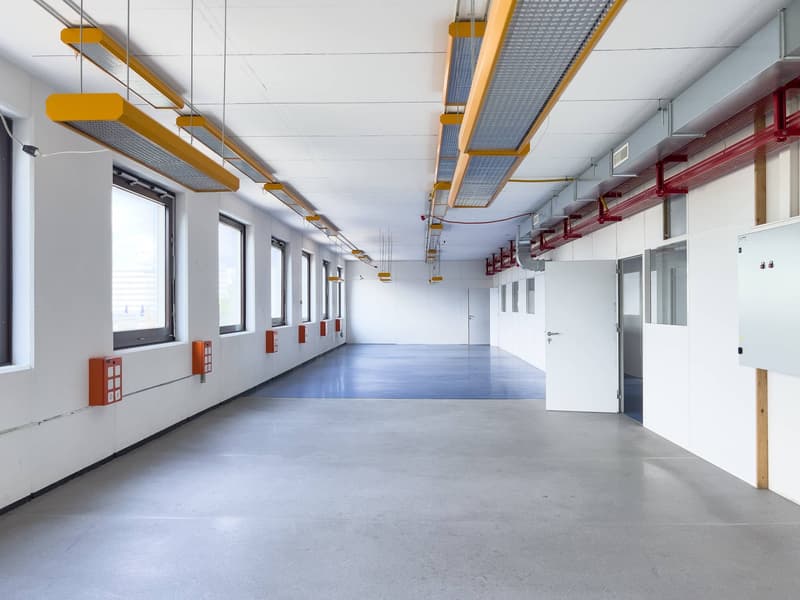 Laboratorio, produzione, atelier di 420 m2 in affitto a Satigny (9)