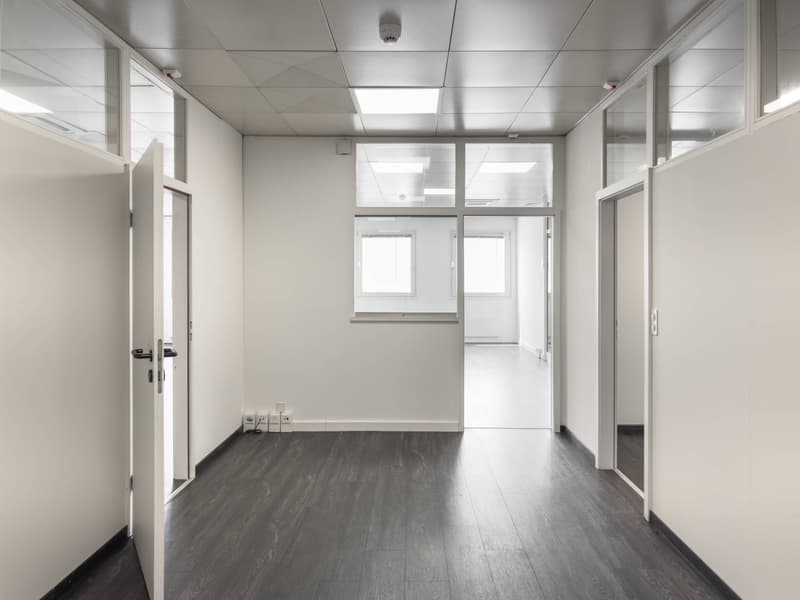 Office/Workshop area of 337m2 in Satigny (5)