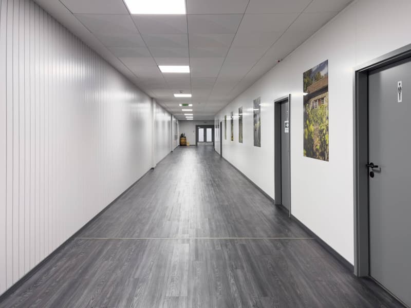 Office/Workshop area of 337m2 in Satigny (9)
