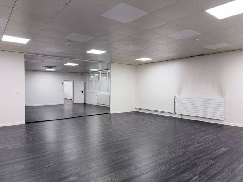 Office/Workshop area of 337m2 in Satigny (2)