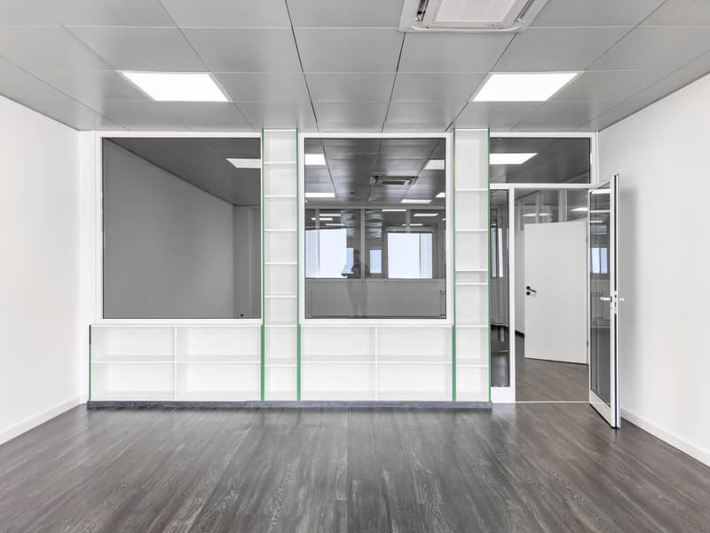 Office/Workshop area of 337m2 in Satigny (4)