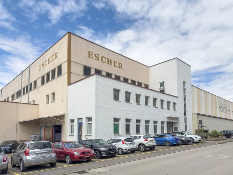 Office/Workshop area of 337m2 in Satigny (11)
